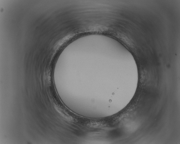 X0000062870632200601171422