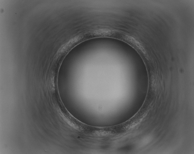 X0000062870633200601171422