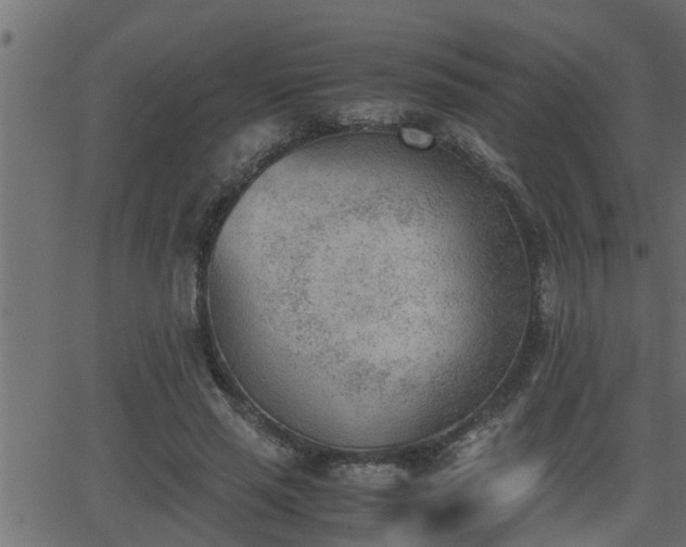 X0000062870637200601171422