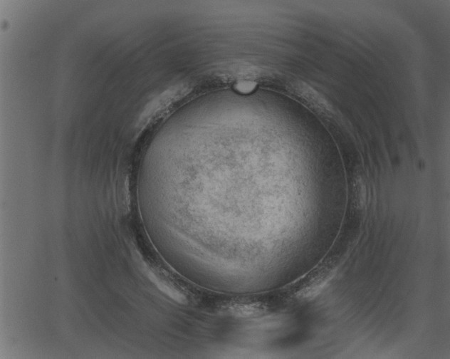 X0000062870638200601171422