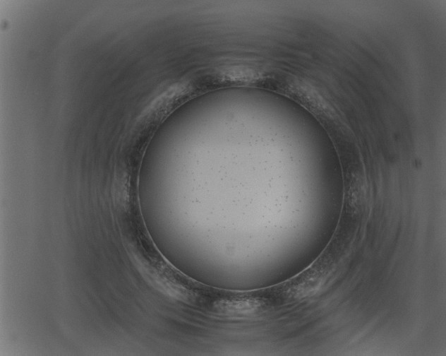 X0000062870639200601171422