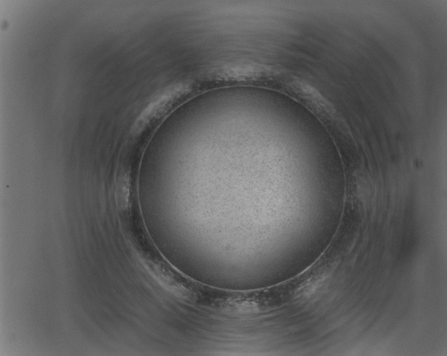 X0000062870640200601171422