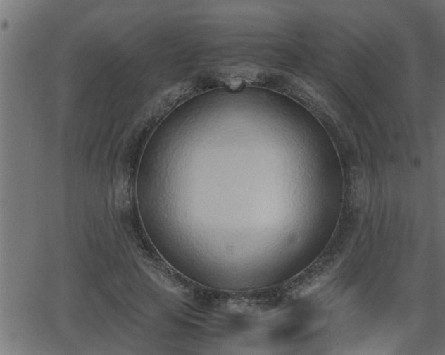 X0000062870641200601171422