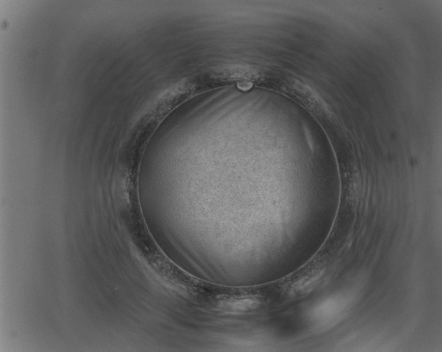 X0000062870643200601171422