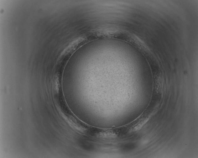 X0000062870644200601171422