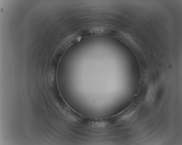 X0000062870645200601171422