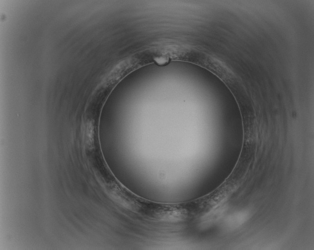 X0000062870646200601171422