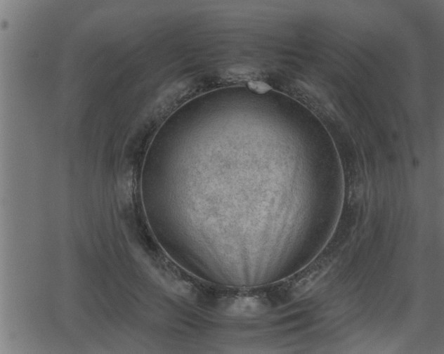 X0000062870647200601171422