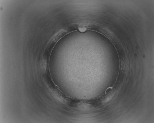 X0000062870648200601171422