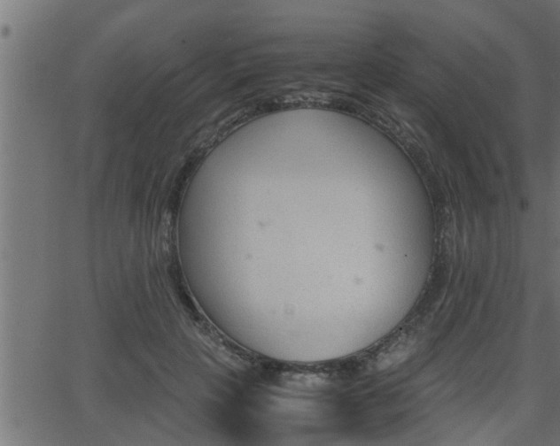 X0000062870649200601171422