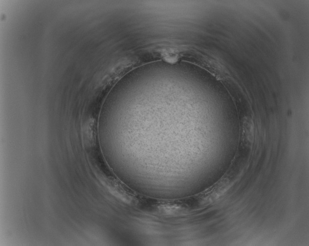 X0000062870650200601171422