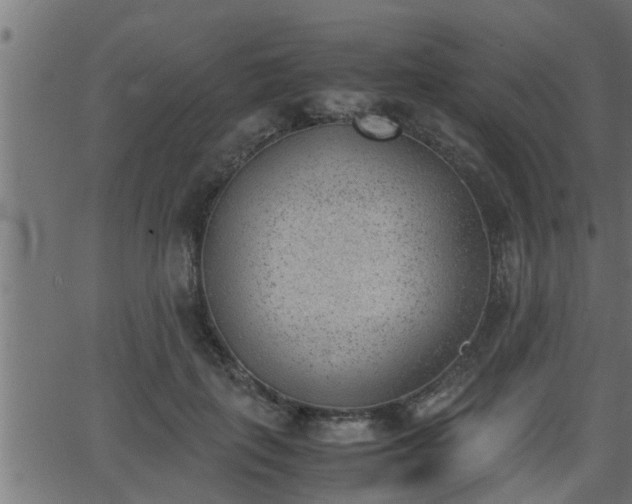 X0000062870651200601171422