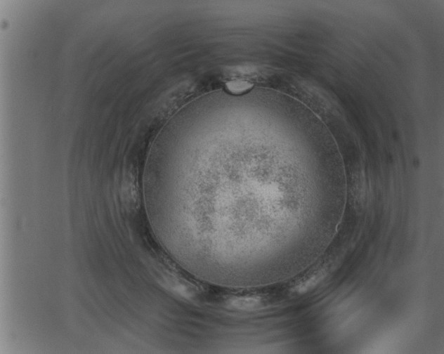 X0000062870653200601171422