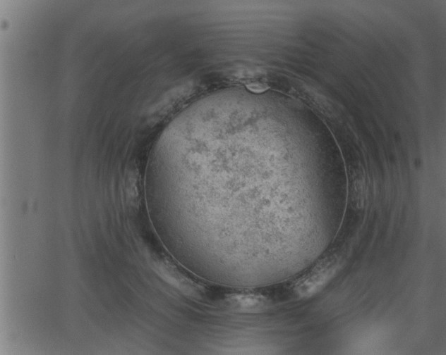 X0000062870654200601171422