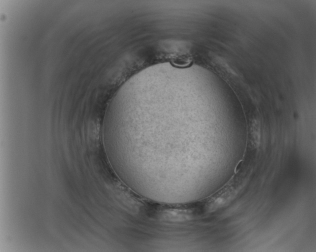 X0000062870657200601171423