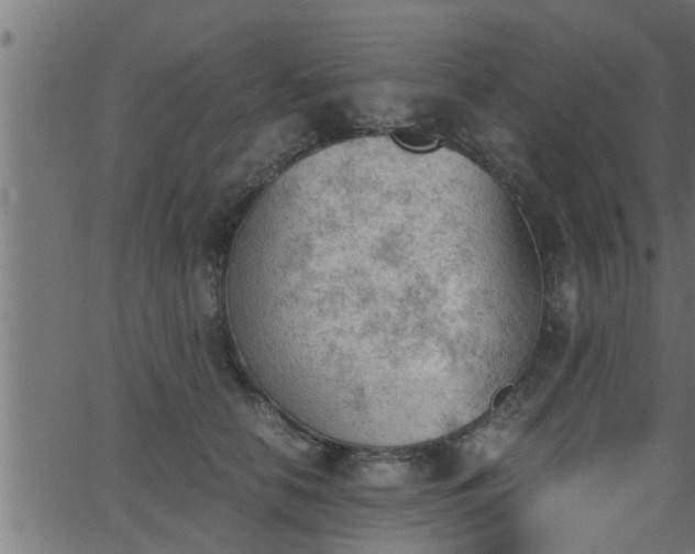 X0000062870658200601171423