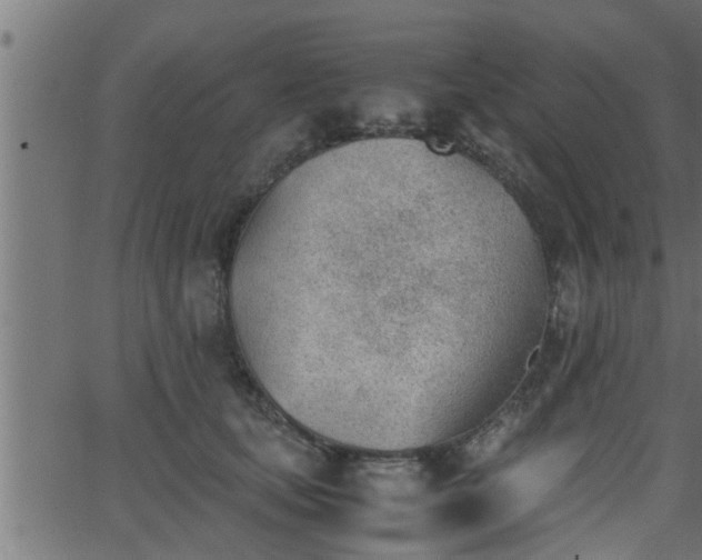 X0000062870659200601171423