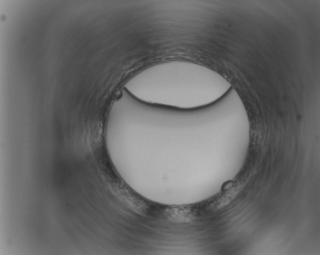 X0000062870660200601171423