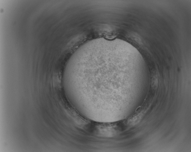 X0000062870661200601171423