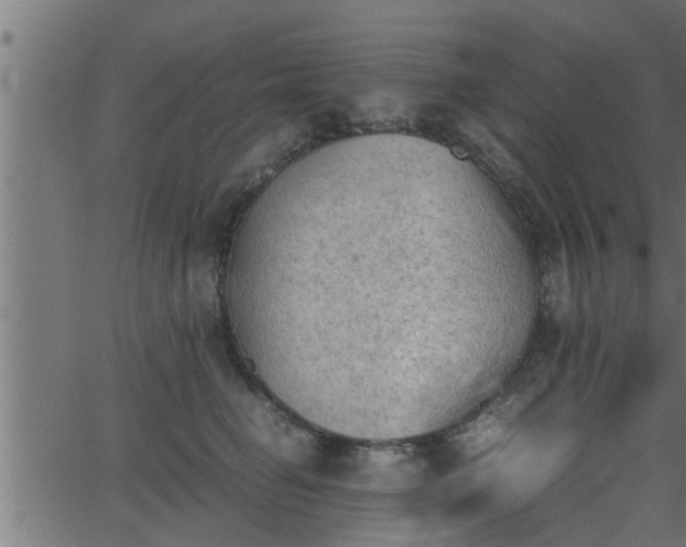 X0000062870662200601171423