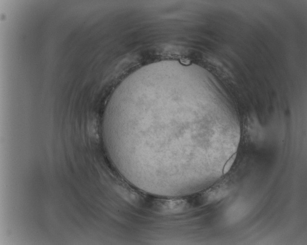 X0000062870663200601171423