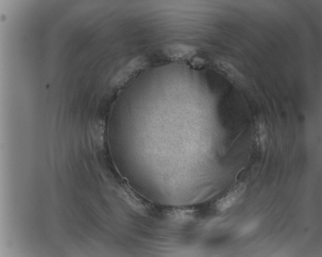 X0000062870664200601171423