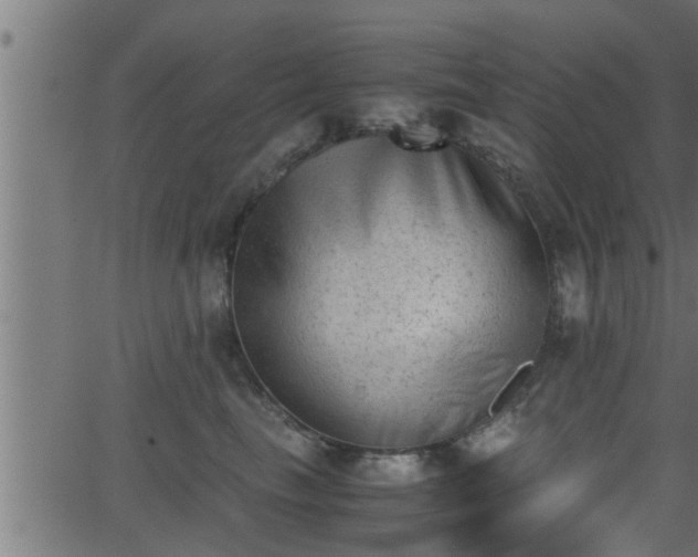 X0000062870665200601171423