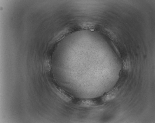 X0000062870666200601171423