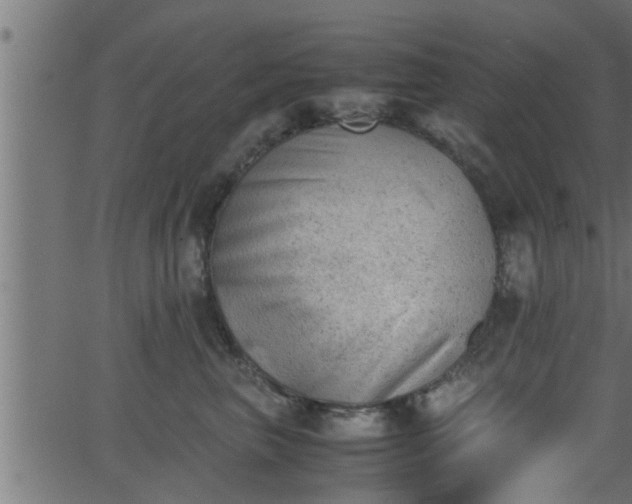 X0000062870667200601171423