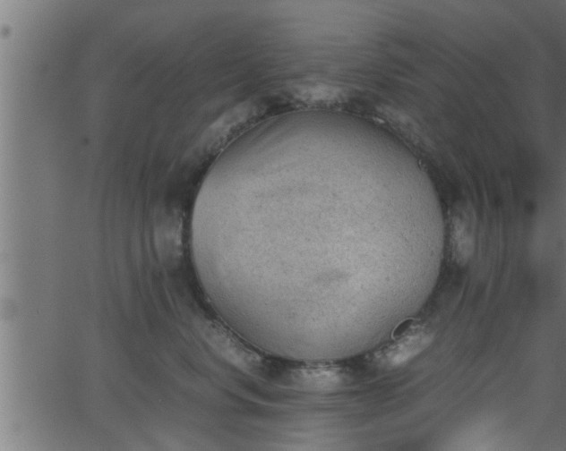 X0000062870668200601171423