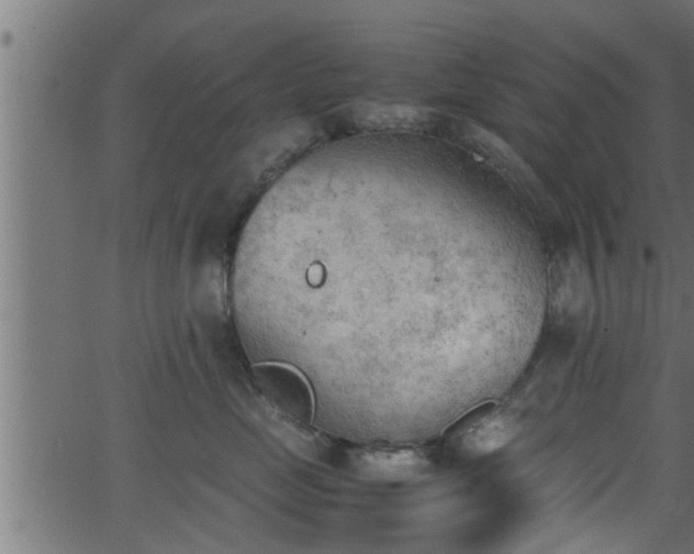 X0000062870669200601171423