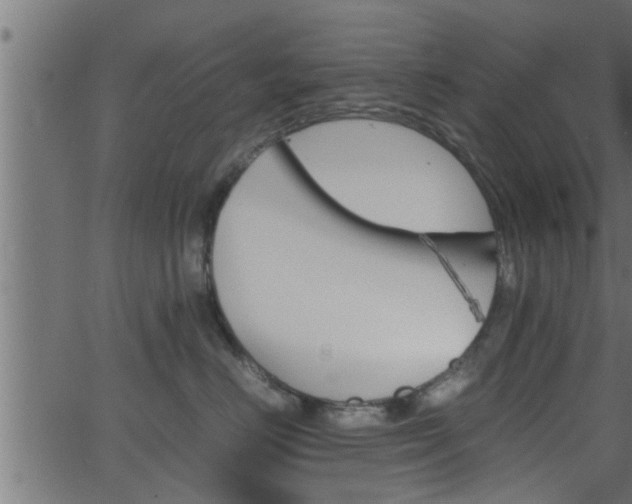 X0000062870670200601171423