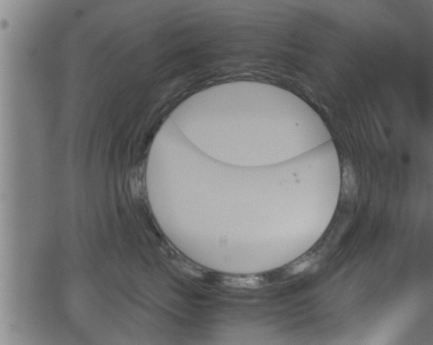 X0000062870671200601171423