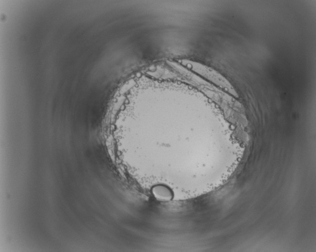 X0000062870672200601171423