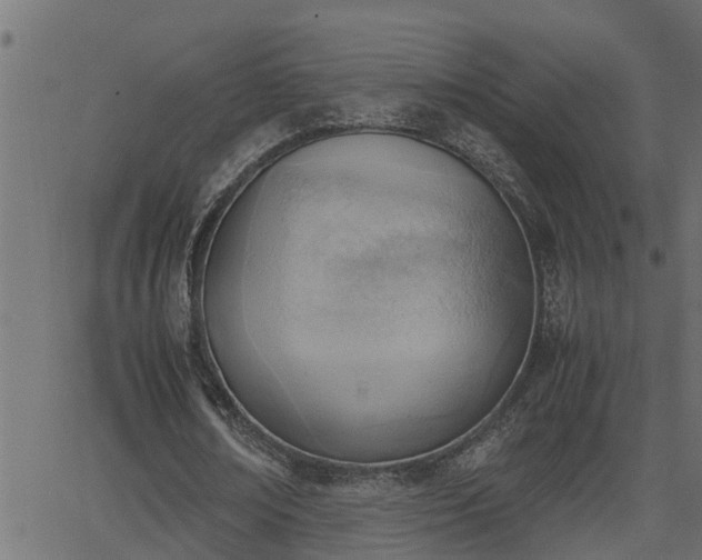 X0000062870674200601171422