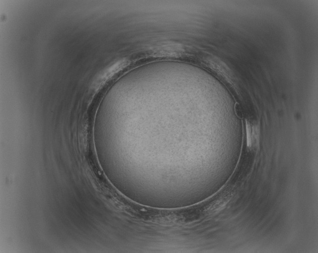 X0000062870675200601171422