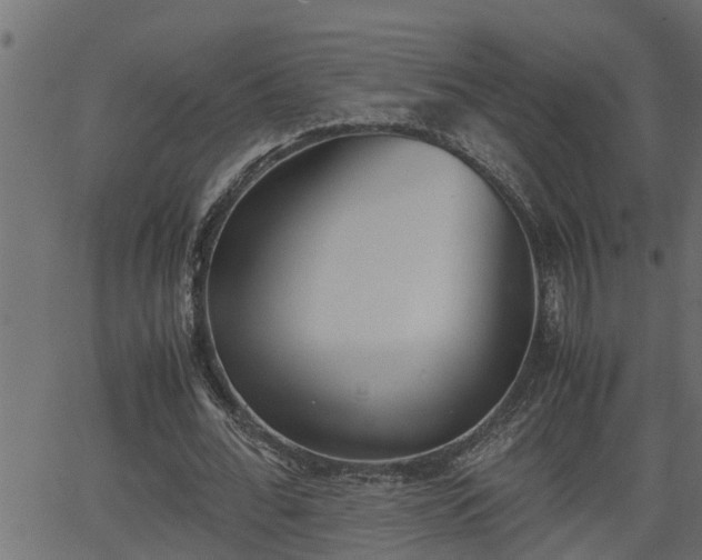 X0000062870676200601171422