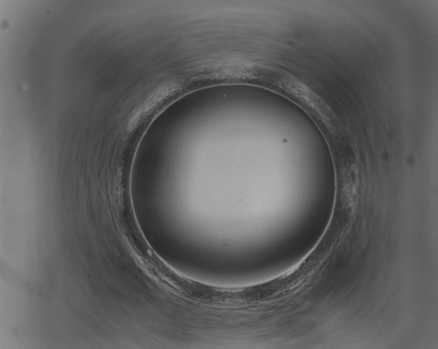 X0000062870677200601171422