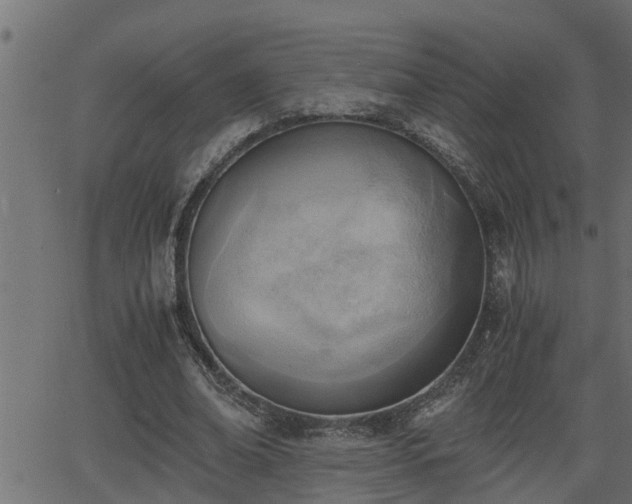 X0000062870678200601171422