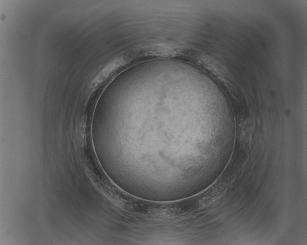 X0000062870679200601171422