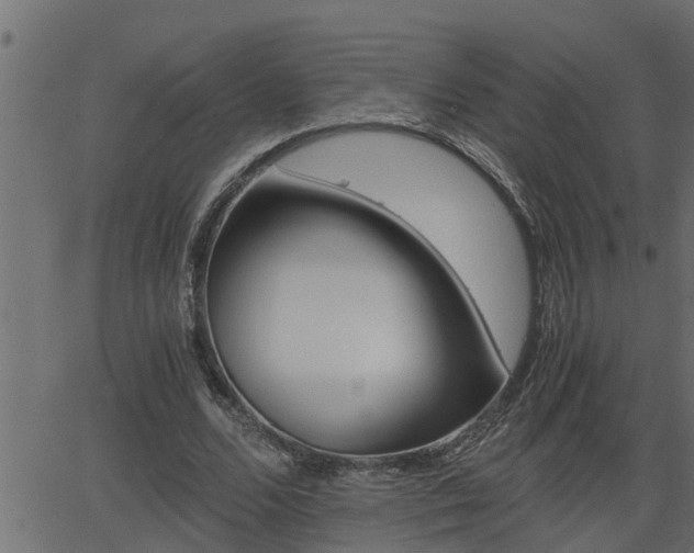 X0000062870680200601171422