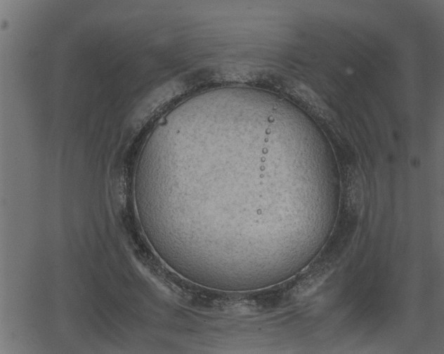 X0000062870683200601171422