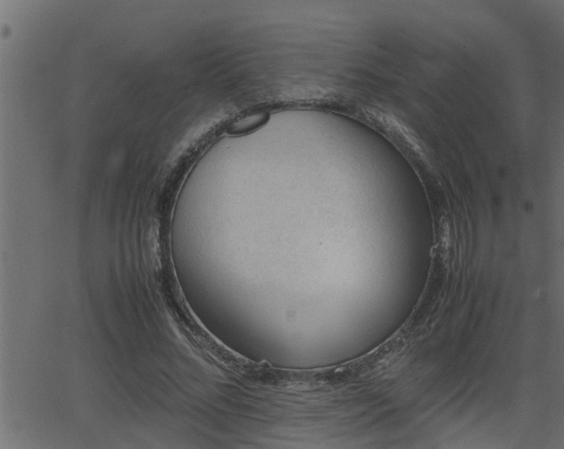 X0000062870684200601171422