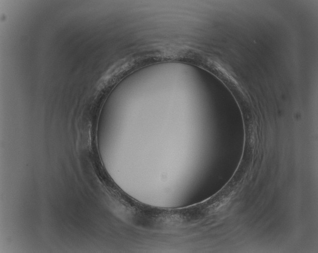 X0000062870685200601171422