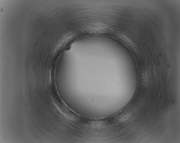 X0000062870686200601171422