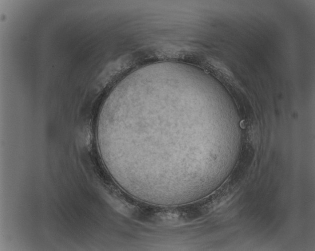 X0000062870687200601171422