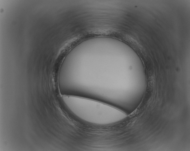 X0000062870688200601171422