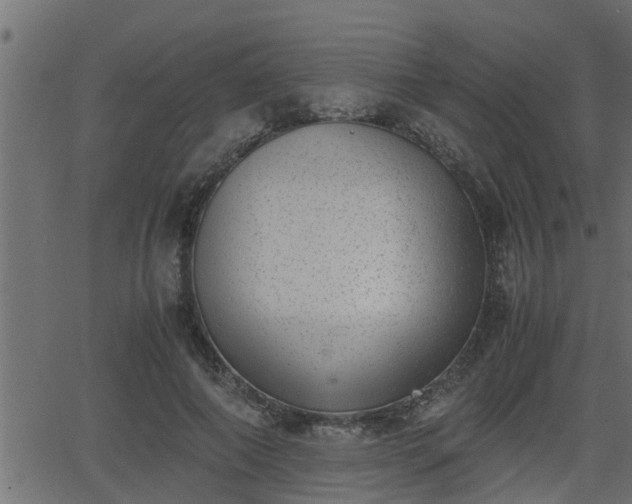 X0000062870690200601171422