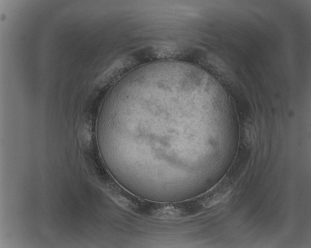 X0000062870691200601171422