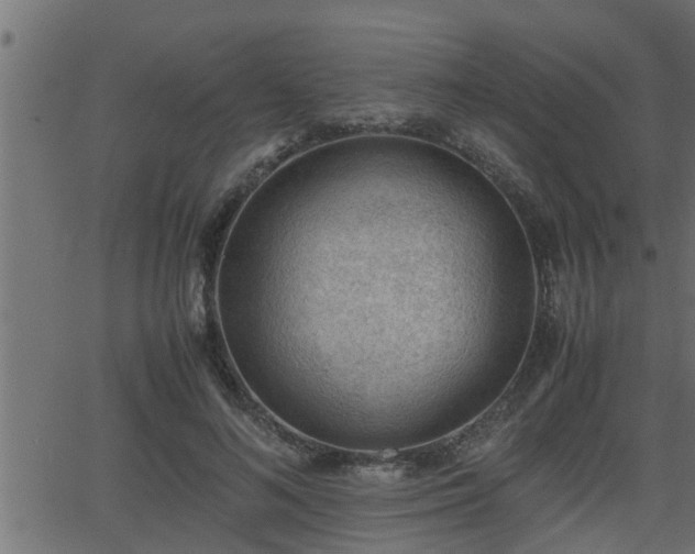 X0000062870692200601171422